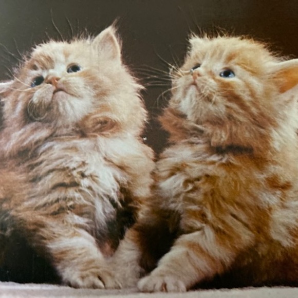 Don't Be Shy We Like Offers - Picture 3 of 3